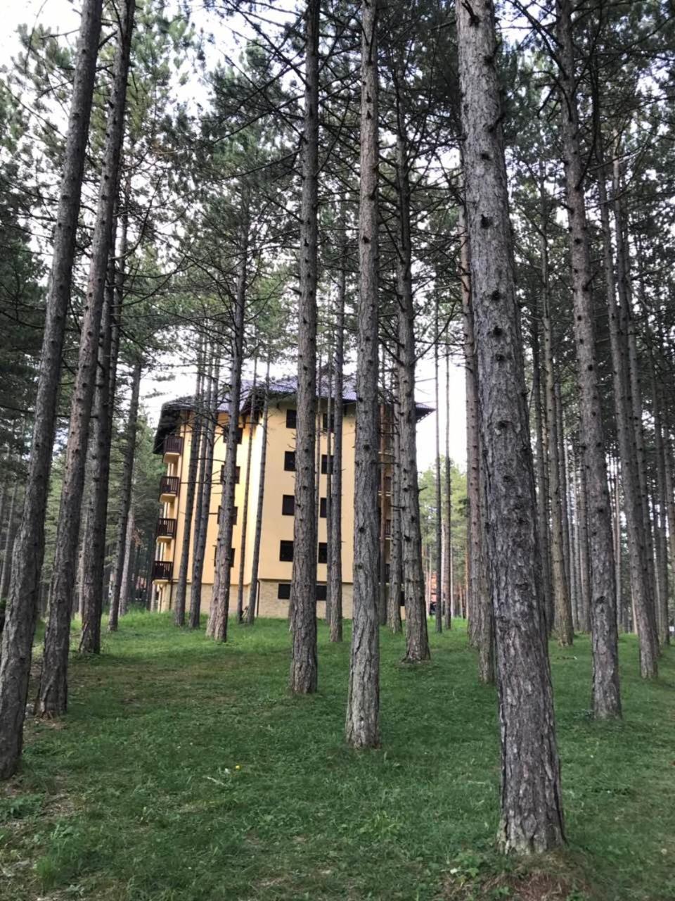Zlatibor Apartmani Jakovljevic Екстер'єр фото